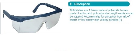 Safety glasses clear with sideshield